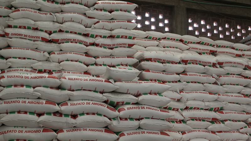 Continua la convocatoria dirigida a productores de maíz para que participen en el Programa de Apoyo con Fertilizante Químico  