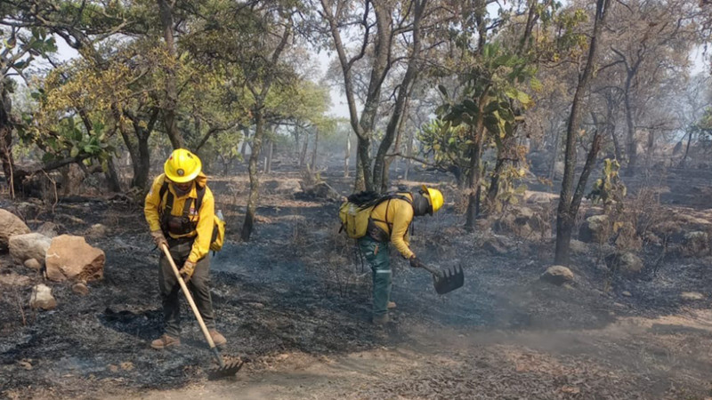 Con la llegada de las primeras lluvias, se extinguieron al 100% los incendios forestales. 
