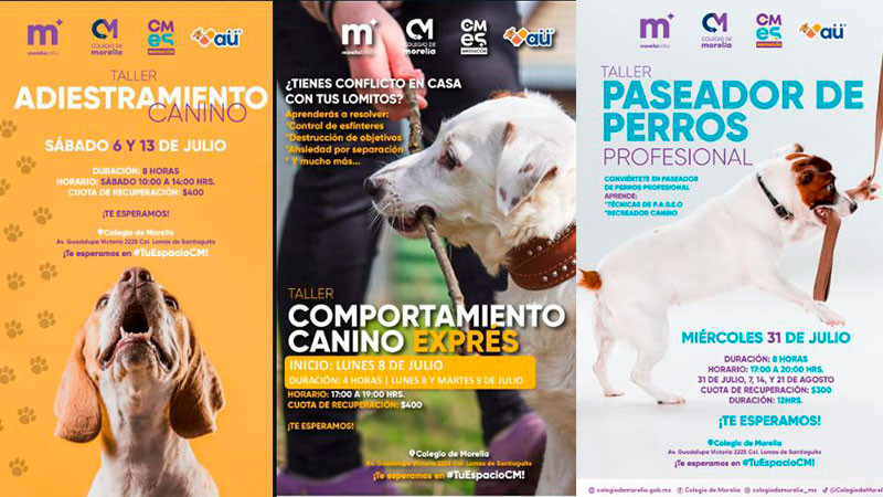 Colegio de Morelia abre talleres para el Bienestar Animal 