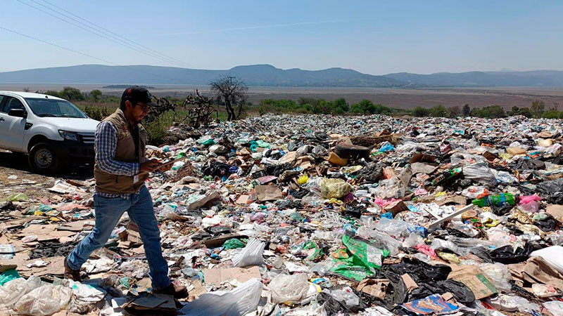 Proam Michoacán ha recibido más de 50 denuncias ambientales 