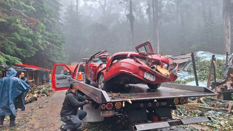 Caída de árbol por lluvias cobra la vida de una persona y lesiona a otras seis en Tenancingo 