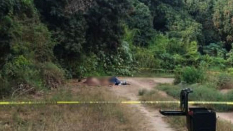 Hallan 3 cuerpos con signos de violencia en Elota, Sinaloa