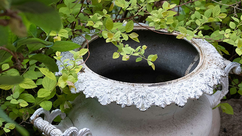 Recolectará sector salud cacharros en 20 colonias de Lázaro Cárdenas, Michoacán 