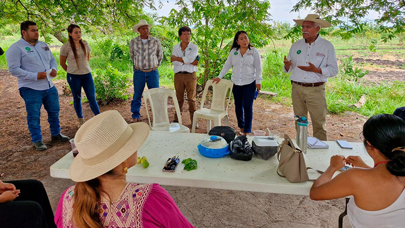 Productores y Sader ponen en marcha 3 biofábricas 