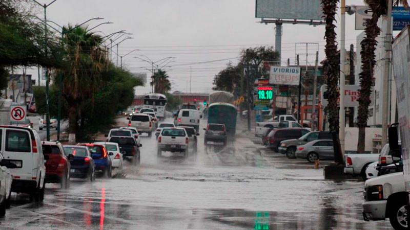 Lluvias en CDMX dejan saldo de una persona lesionada, árboles caídos y vehículos dañados 