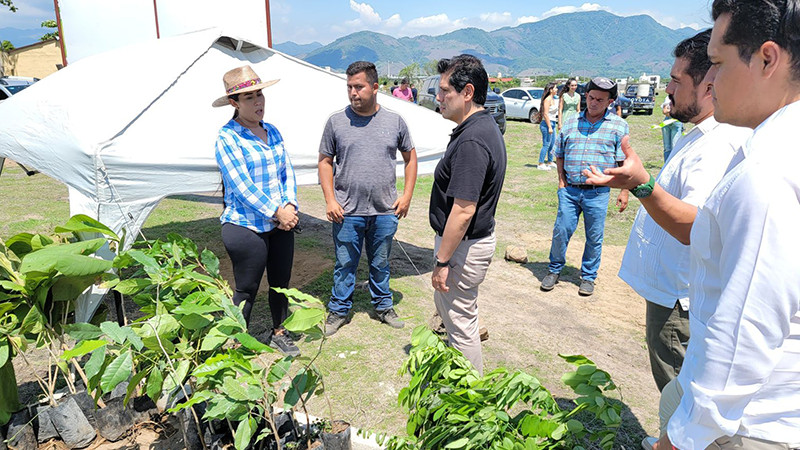 Impulsa Partido Verde creación de vivero en Coahuayana 