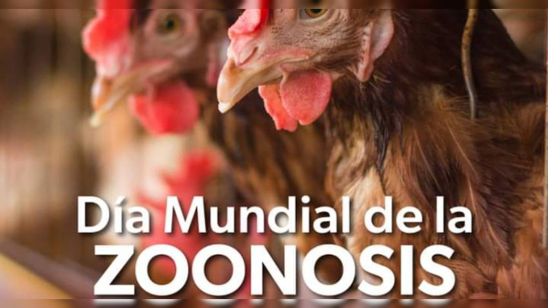 Sector salud de Michoacán busca prevenir enfermedades transmitidas por animales 