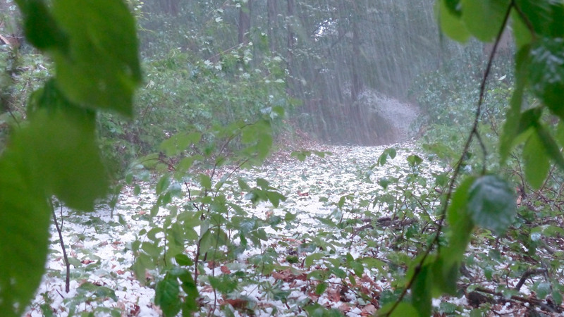 Prevén lluvias intensas y granizo en varias regiones del país 