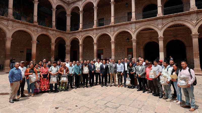 Comunidades indígenas con autogobierno, muestra de resultados eficientes en seguridad: Torres Piña