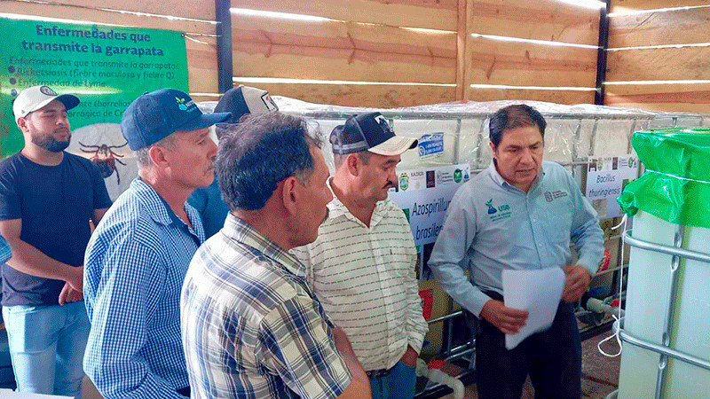 Con nueva biofábrica fortalecen producción ganadera y de aguacate en Cotija: Sader