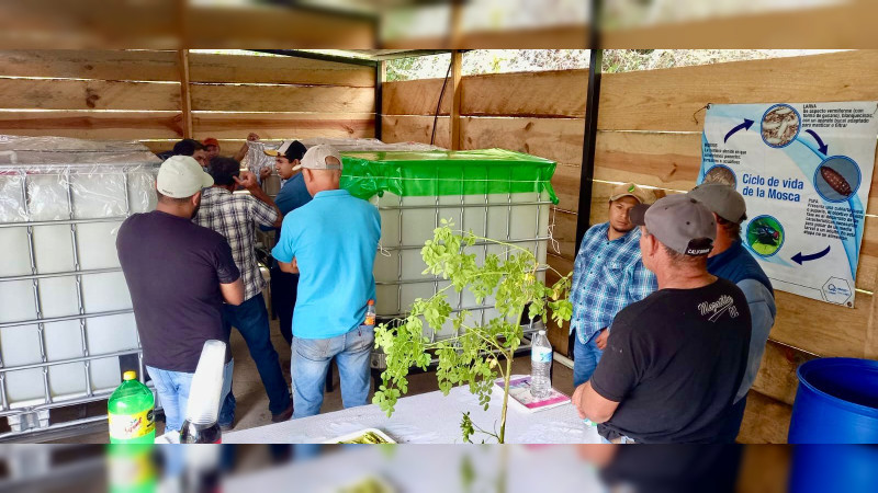 Con nueva biofábrica fortalecen producción ganadera y de aguacate en Cotija: Sader