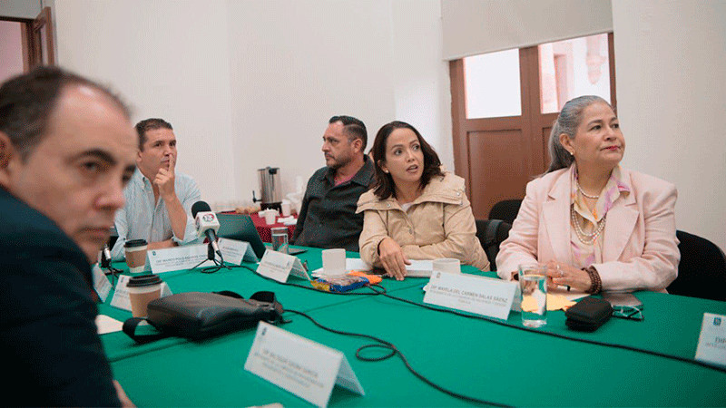 Consigue Andrea Villanueva asignación de recursos para los sectores más vulnerables de Michoacán 