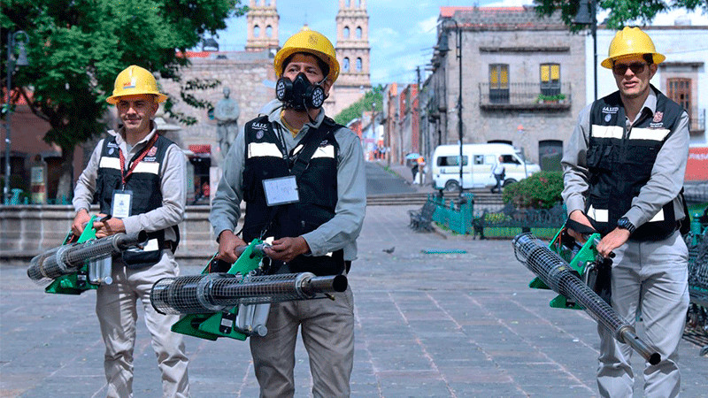 Se intensifica combate al dengue en 5 municipios críticos: SSM