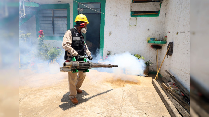 Se intensifica combate al dengue en 5 municipios críticos: SSM