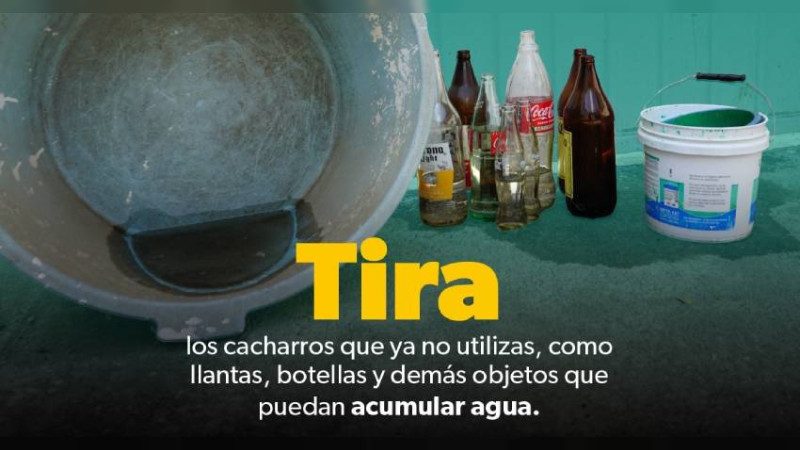 Sigue estas medidas del sector salud para protegerse del dengue 