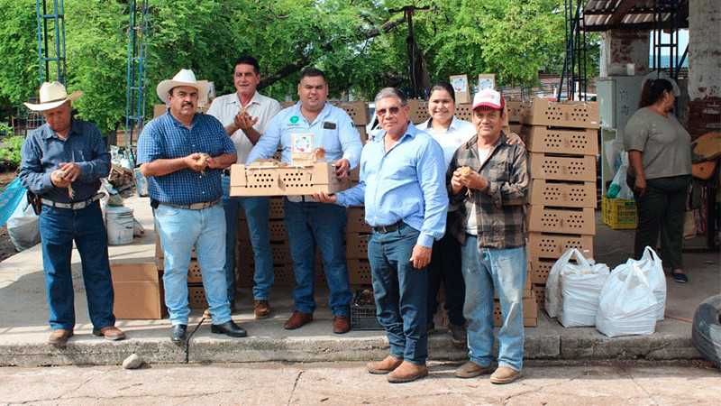 Entregará Sader 15 mil paquetes para producción de alimentos a familias campesinas