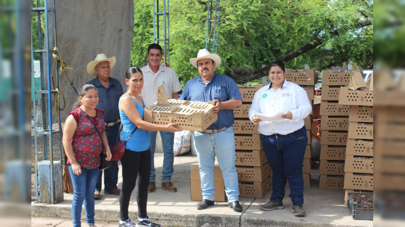 Entregará Sader 15 mil paquetes para producción de alimentos a familias ...