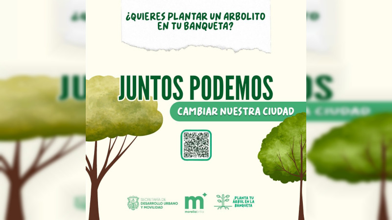 Gobierno de Morelia pone el árbol y tú elige la banqueta 