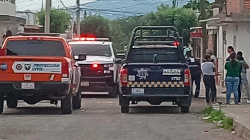 Un hombre pierde la vida tras ser atacado por abejas, en Irapuato, Guanajuato 