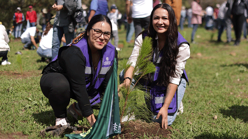 Arrancó reforestación simultánea en 12 municipios de Michoacán