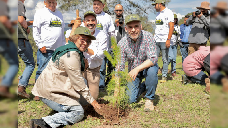 Arrancó reforestación simultánea en 12 municipios de Michoacán