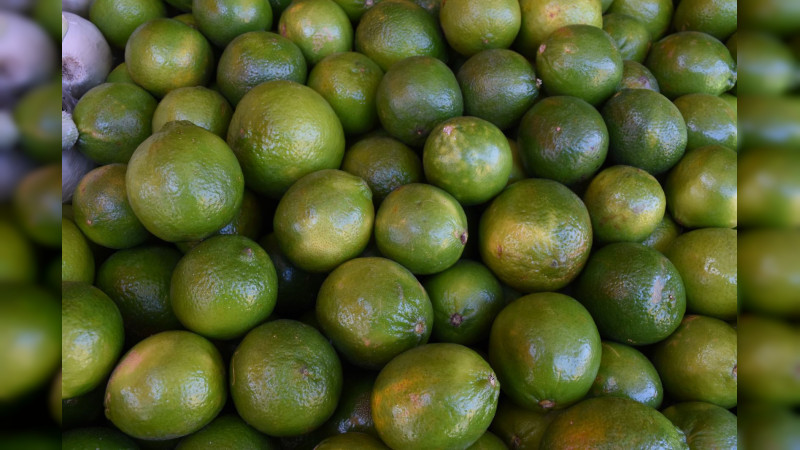 Julio, con el precio más bajo del limón en lo que va de 2024: Sedeco 