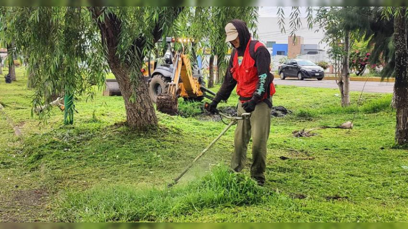 Ayuntamiento de Morelia y vecinos limpian camellones y avenidas 