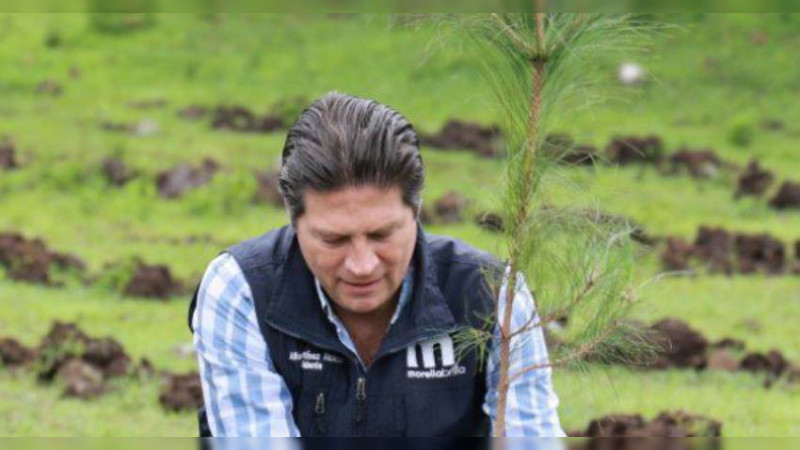 Encabeza Alfonso Martínez jornada de reforestación 