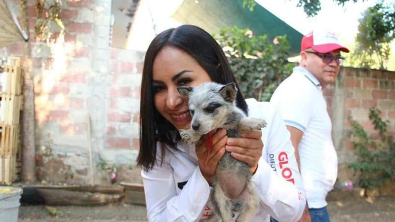 Debe fomentarse la cultura de protección a los animales y adopción responsable en los municipios: Gloria Tapia 