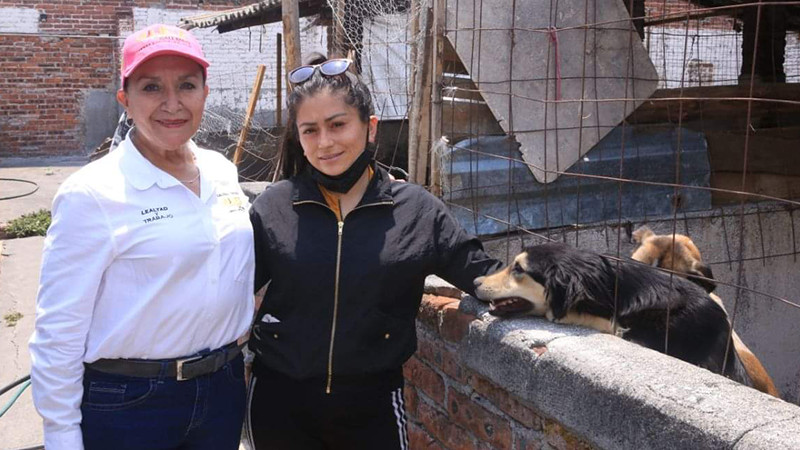 Deben garantizarse recursos para la protección, esterilización y promoción de animales en situación de calle: Julieta Gallardo 