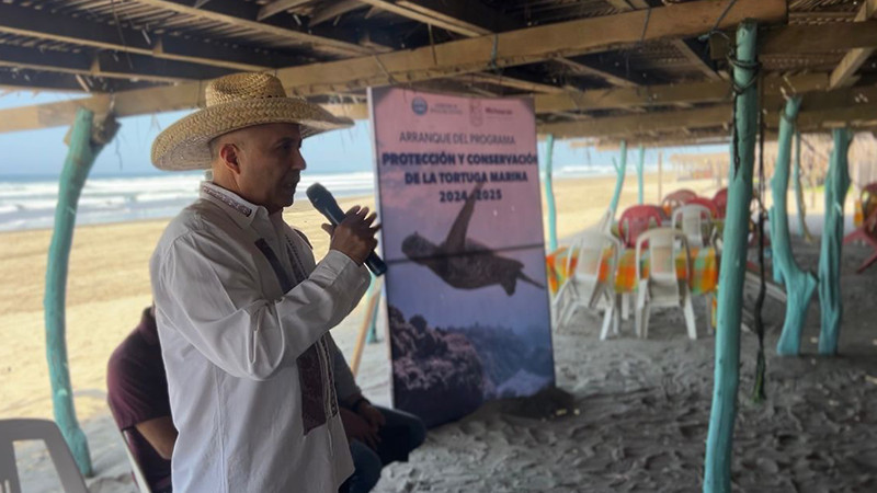 Proyectan liberar 2 millones de tortugas marinas 