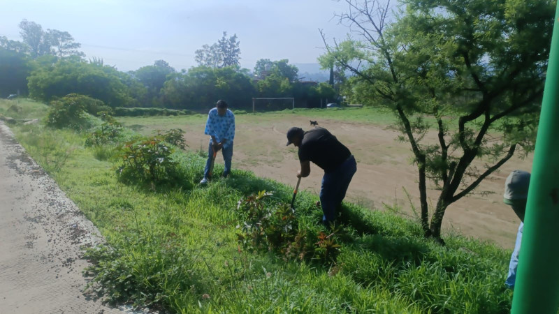 El Gobierno de Tarímbaro plantó 200 pinos en el marco del Día del Árbol  
