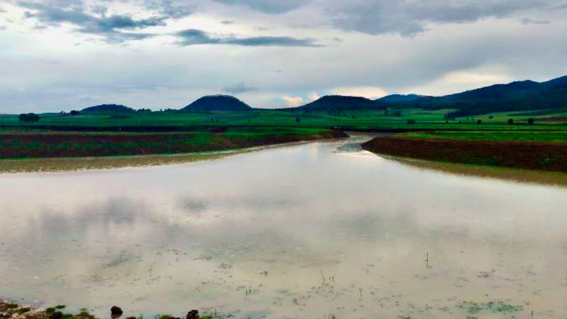 Tras labores de limpieza, renace laguna de Zinciro, en Erongarícuaro 