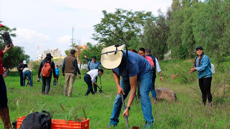 Más de 300 voluntarios reforestan la zona protegida Cerritos del Quinceo
