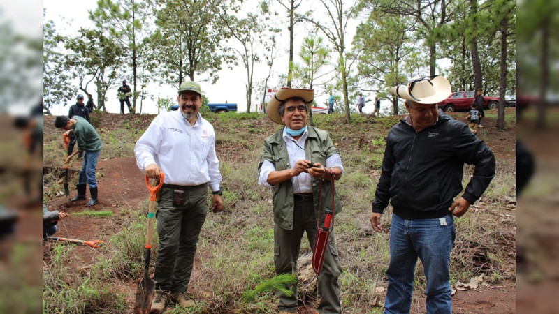 Plantarán 10 mil árboles en Área Natural Protegida Mesa de Tzitzio