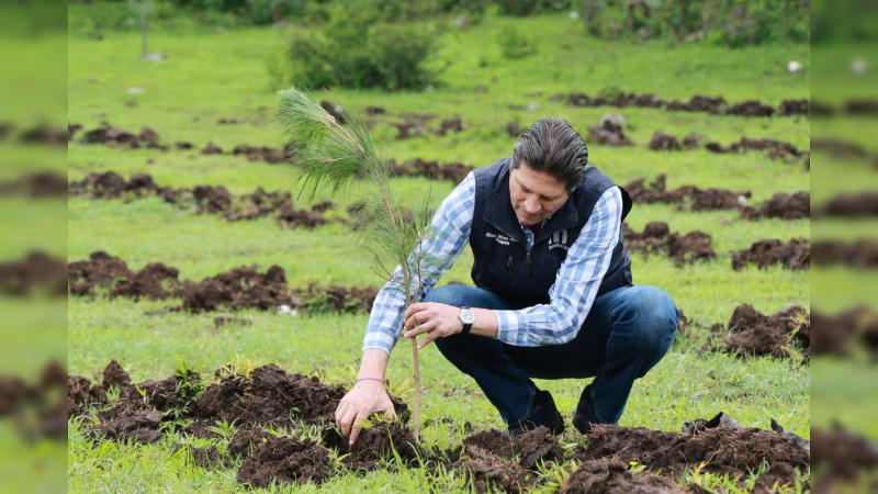 Gobierno Morelia, cerca de plantar 1 millón de árboles 