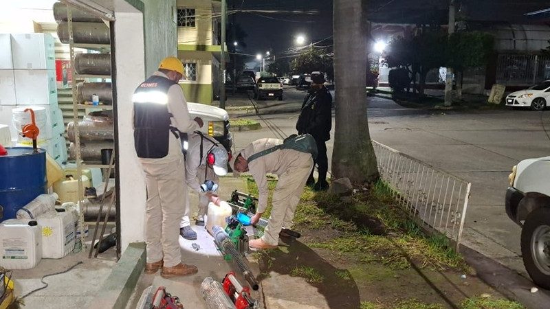 Sector salud fumigará 120 colonias de Uruapan para proteger a habitantes contra el dengue 