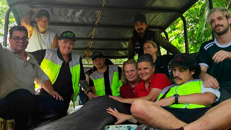 Manatíes rescatados regresan a su hábitat gracias a Aluxes Ecoparque y a la AZCARM 