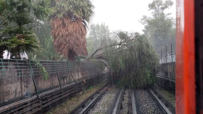 Fuertes lluvias derriba árbol en vías del metro CDMX y afecta Línea 5  