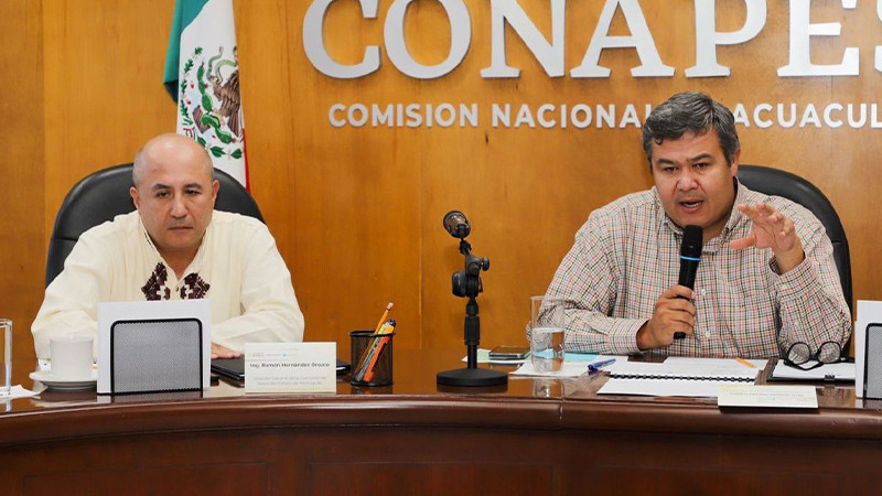 Hundirán mil 100 arrecifes artificiales en la Costa Michoacana 