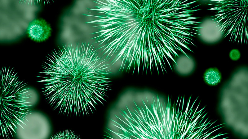 África pide declarar estado de emergencia sanitaria por brote de mpox 