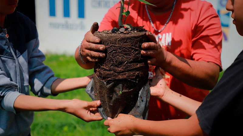 Gobierno de Morelia concluye cursos “Morelia Verano Creativo” con reforestación masiva