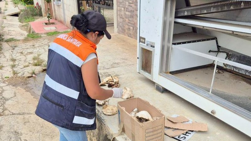 Familia se intoxica por comer hongos silvestres en Chiapas 