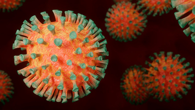 OMS declara el mpox como emergencia internacional de salud pública 