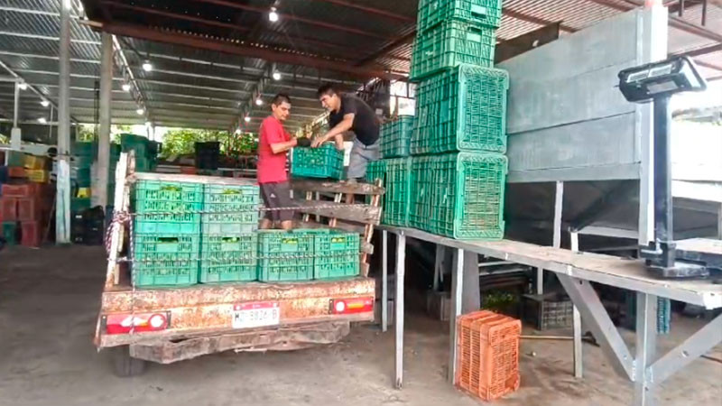 SEGOB presentará denuncia ante FGE por extorsión a limoneros  