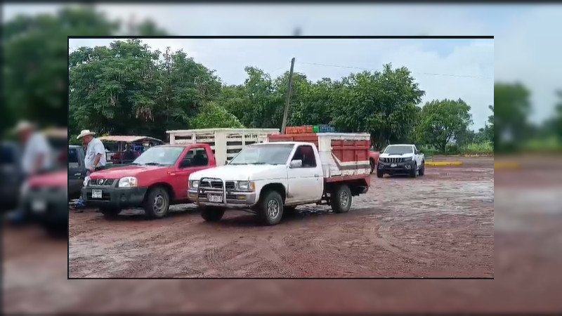 Reanudan actividades empacadoras de limón de Apatzingán  