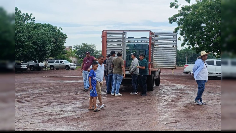 Reanudan actividades limoneros de Apatzingán; piden la permanencia de agentes de seguridad 
