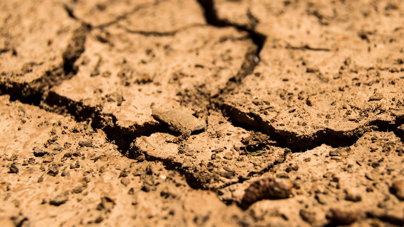 México necesita inversión anual de 180 mil mdp para enfrentar crisis hídrica: ONG 