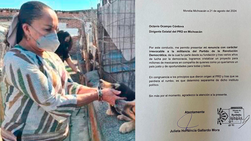 Anuncia Julieta Gallardo su separación del PRD 