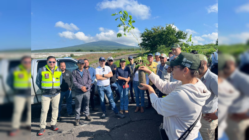 Plantan mil árboles en Área Natural Protegida de La Piedad